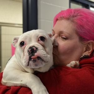 Meet your Posher, Bonnie